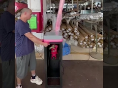 Mecanismo de barreira de lança para estacionamento HCW com motor sem escovas de 24V DC para segurança de portão inteligente